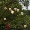 Image de STAR TRADING Guirlande LED Big Circus, Dew Drops, 10 lampes