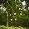 Image de STAR TRADING Guirlande LED Big Circus Filament, 10 lampes