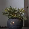 Image de STAR TRADING Guirlande lumineuse LED Dew Drops Flower