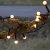 Image de STAR TRADING Guirlande LED Berry Mini à minuterie blanche