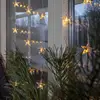 Image de STAR TRADING Rideau lumineux LED Star Curtain, 30 ampoules