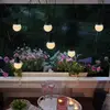 Image de STAR TRADING Guirlande lumineuse solaire LED Combo, à 6 lampes, IP44, plastique
