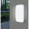 Image de SILAMP Applique LED Murale 20W Rectangulaire IP65 - Blanc Froid 6000K - 8000K