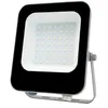 Image de Projecteur Extérieur LED 30W IP65 Noir - Blanc Froid 6000K - 8000K
