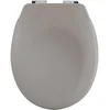 Image de Spirella Couvercle de Toilette Ovale de qualité supérieure avec Finition Mate et Fermeture en Douceur Lunette de Toilette antibactérienne en Duroplast et Acier Inoxydable Taupe