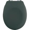 Image de Spirella - Abattant WC Thermo Dur Neela - Charnières en ABS Chromé - Couvercle WC avec Frein de Chute - Fermeture Slow-Close - 44 x 37 x 3 cm - Vert Foncé Mat