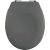 Image de Spirella Couvercle de Toilette Ovale de qualité supérieure avec Finition Mate et Fermeture en Douceur Lunette de Toilette antibactérienne en Duroplast et Acier Inoxydable Gris