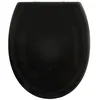 Image de Spirella - Abattant WC PP HARRY, Charnières Inox - Couvercle Toilette Polypropylène Clipsable, Facile à Installer, Fermeture Slow-Close - 44 x 37 x 3 cm - Noir