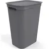 Image de Rotho. Brisen Co l lecteur De lavage 50 l Avec Couverc le Et 2 Poignées, P lastique (Pp) Sans Bpa, Anthracite, 50 l (43,1 X 34,0 X 52,9 cm)