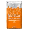 Image de Malabar Monsooned