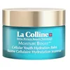 Image de LA COLLINE Moisture Boost - Baume Cellulaire Hydratation Jeunesse 50ml