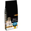 Image de Croquettes pour chien Pro Plan Large Robust Adult riche en poulet et riz 14kg