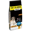 Image de Purina Pro Plan Sac de croquettes pour Chiens Adultes Robustes de Grande Taille Aliment Sec Riche en Poulet avec Optibalance 