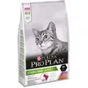 Image de PURINA Pro Plan Sterilised Adulte Savoury Duo Chat Croquettes avec Canard et Foie - 10 kg