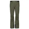 Image de Pants W's Ultimate Dryo 10 douglas green (7850) L