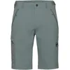 Image de Mammut Runbold IV Short pour Homme