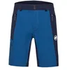 Image de Mammut Short Ducan pour Homme