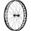 Image de DT Swiss BR 2250 Classic Fatbike Roue Avant 26" Aluminium 150/15 mm Noir 2018 Roues VTT 26"