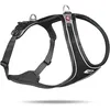 Image de Magnetic Belka Comfort Harness Black M