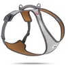 Image de Glow Belka Harness Gray 2XL