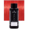 Image de Schwarzkopf Igora Vibrance Red Concentrate 0-88 60 ml