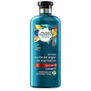 Image de HERBAL, Noir, standard CH.Bio REPARE ARGAN 400