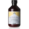 Image de Davines Naturaltech Purifying Shampoo 250ml,