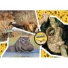 Image de Clementoni National Geo - Wildlife Adventure-Supercolor Puzzle