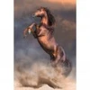 Image de Clementoni Étalon Rouge Sauvage