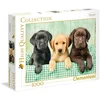 Image de Clementoni - 39279.7 - Puzzle - 1000 Pièces - Trois Labrador - Jeu de Création et Logique pour Enfants - à Partir de 14 Ans et Plus - Collection