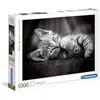 Image de Clementoni 39422, Puzzle Collection, Chaton, 1000 Pièces, Version Allemande