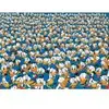 Image de Clementoni Impossible Donald