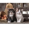 Image de Clementoni Adorables Chatons