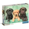 Image de CLEMENTONI - Compact 1000 pièces - Three Labs