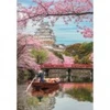 Image de Clementoni Château De Himeji