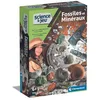 Image de Clementoni | Fossiles et minéraux | Contient Marteau, Burin | 8 Ans | 52817