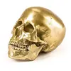Image de Tête de Mort en Aluminium « Diesel-Human Skull » 13 x 20 x 15 cm