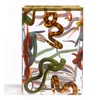 Image de Vaso in VETRO TOILETPAPER SELETTI CM. 1
