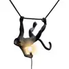 Image de Lampe SELETTI Monkey, largeur 44 cm, noir, prise, IP44