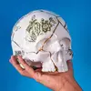 Image de SELETTI Sculpture Kintsugi Skull, blanc, porcelaine, or