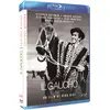 Image de Le Gaucho [Blu-ray]