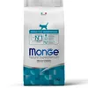 Image de MONGE Kitten
