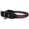 Image de Canter Collier pour Chien Corde