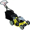 Image de Vigor WR 67550 OHV Ergo Briggs Tondeuse à Gazon