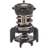 Image de Facet 7.8933 refroidissement moteur