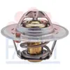 Image de FACET 7.8202S Thermostat d'eau sans joint d'étanchéite 88°C Compatible avec HYUNDAI GETZ TB, NISSAN MICRA II K11, FORD Fiesta Mk4 3/5 portes JAS, JBS Fiesta Mk3 3/5 portes GFJ, ROVER MINI