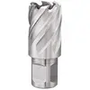 Image de Fervi F002/17 Scie-cloche avec tige Weldon, 17 mm