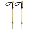 Image de Ferrino Stick Kailash Bâton de randonnée Unisexe pour Adulte, Vert (Vert), Taille Unique