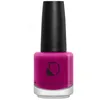 Image de Diego Dalla Palma Make Up Nail Enamel Couleur 228