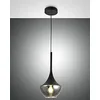 Image de Fabas Luce 3623-41-101 SOSPENSIONE APOLLO NERO E27